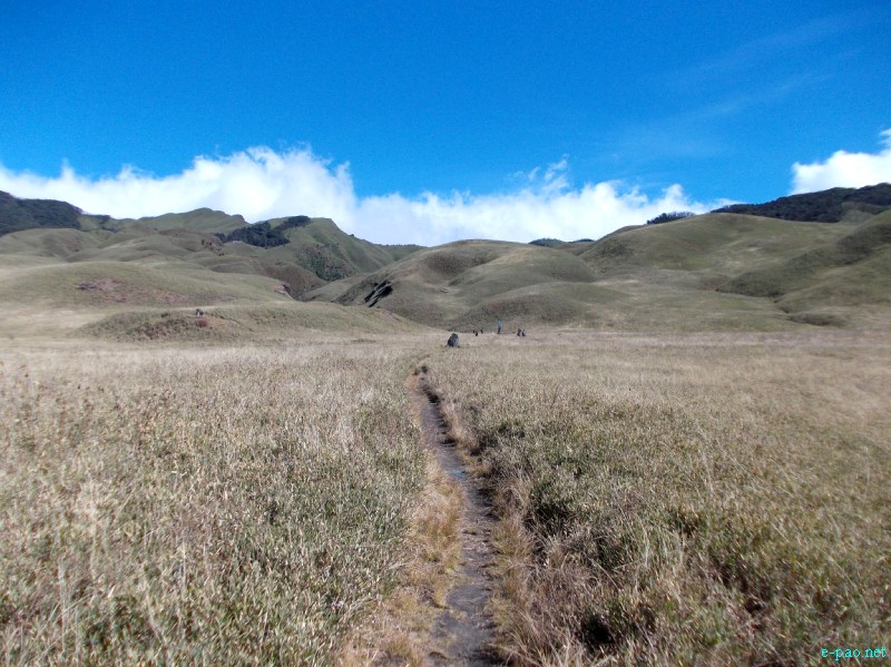 Dzuko Valley trip /  Exploration  during Sangai Tourism Festival 2012 :: November 2012