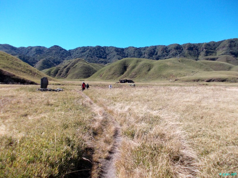 Dzuko Valley trip /  Exploration  during Sangai Tourism Festival 2012 :: November 2012