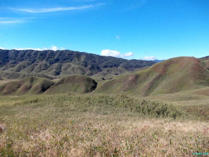 Dzuko Valley trip /  Exploration  during Sangai Tourism Festival 2012 :: November 2012