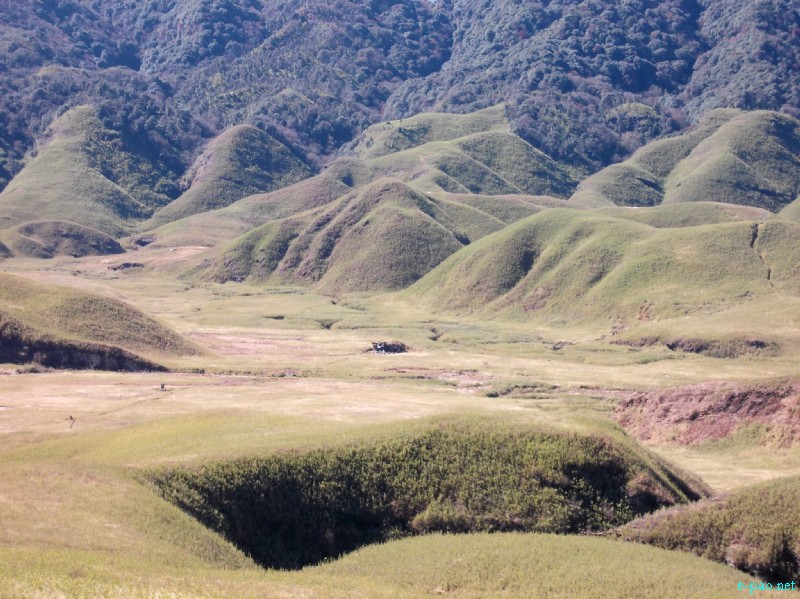 Dzuko Valley trip /  Exploration  during Sangai Tourism Festival 2012 :: November 2012