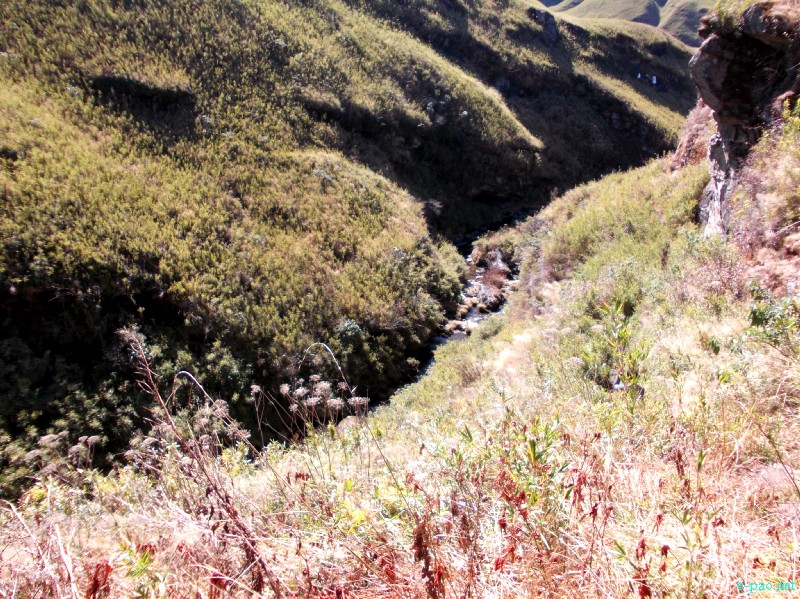 Dzuko Valley trip /  Exploration  during Sangai Tourism Festival 2012 :: November 2012