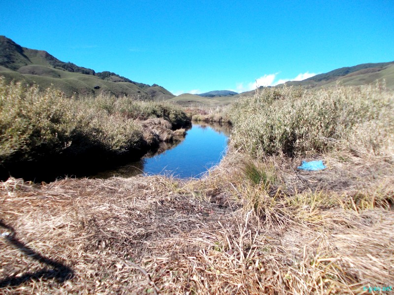 Dzuko Valley trip /  Exploration  during Sangai Tourism Festival 2012 :: November 2012