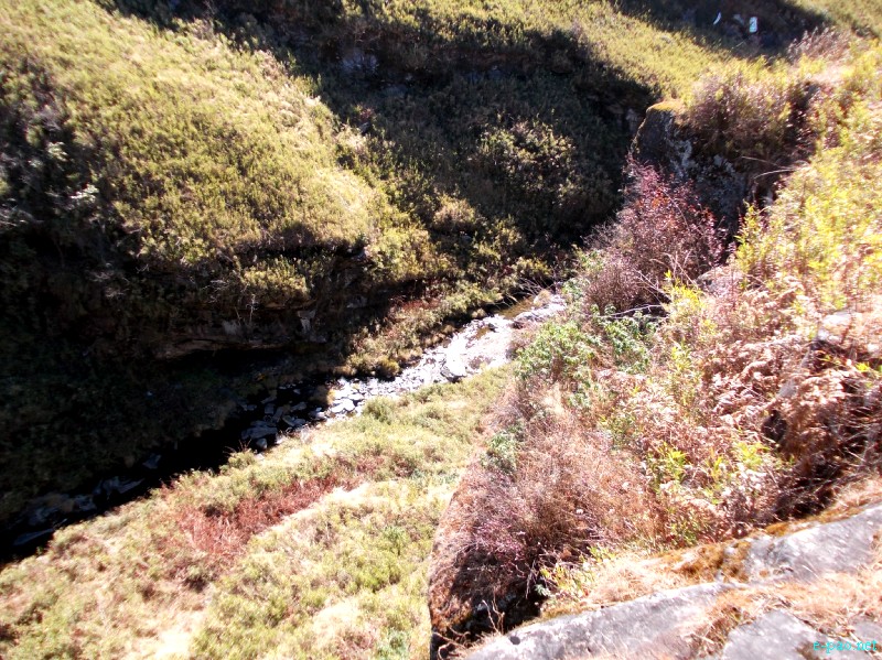 Dzuko Valley trip /  Exploration  during Sangai Tourism Festival 2012 :: November 2012