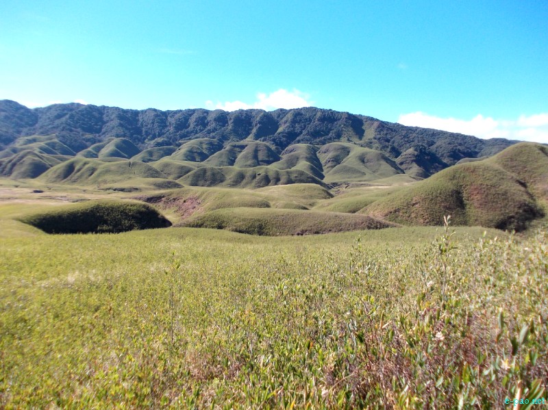 Dzuko Valley trip /  Exploration  during Sangai Tourism Festival 2012 :: November 2012