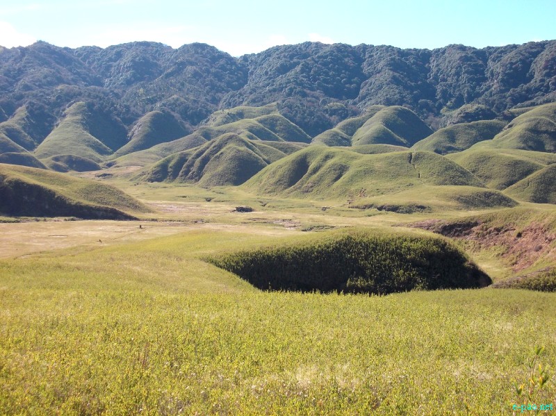 Dzuko Valley trip /  Exploration  during Sangai Tourism Festival 2012 :: November 2012