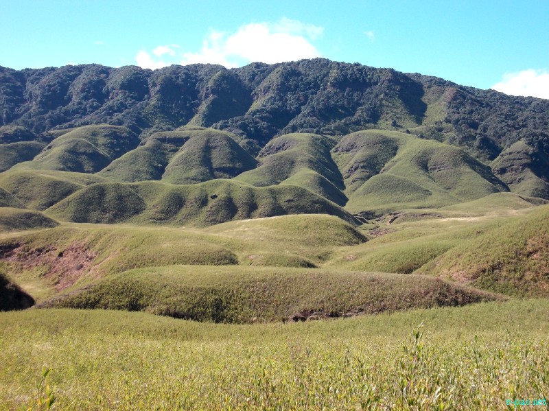 Dzuko Valley trip /  Exploration  during Sangai Tourism Festival 2012 :: November 2012
