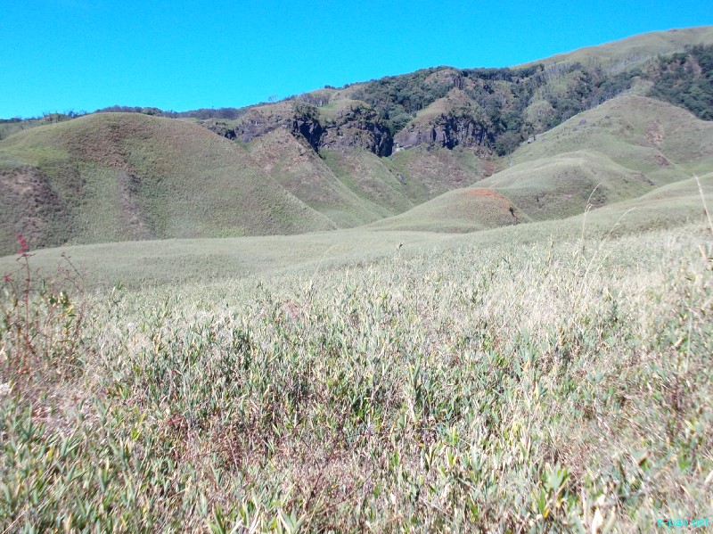 Dzuko Valley trip /  Exploration  during Sangai Tourism Festival 2012 :: November 2012