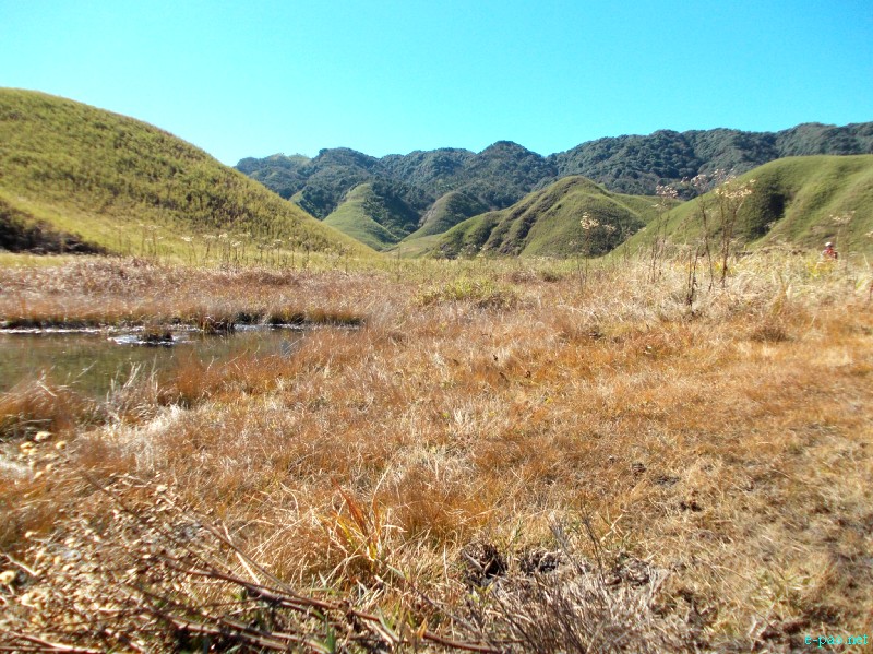 Dzuko Valley trip /  Exploration  during Sangai Tourism Festival 2012 :: November 2012