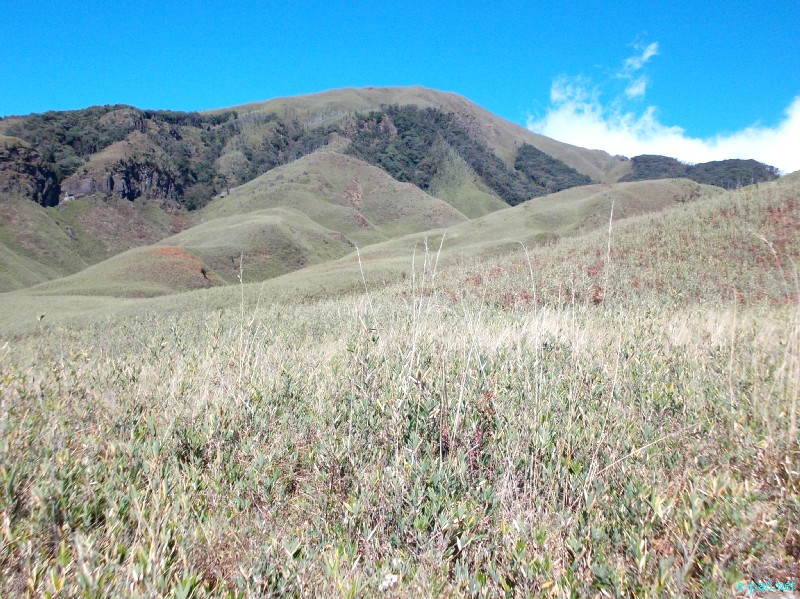 Dzuko Valley trip /  Exploration  during Sangai Tourism Festival 2012 :: November 2012