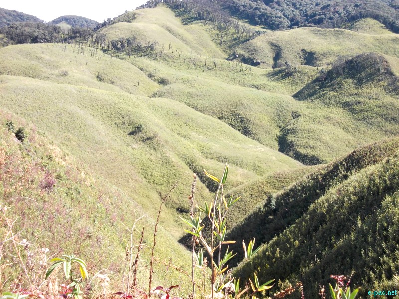 Dzuko Valley trip /  Exploration  during Sangai Tourism Festival 2012 :: November 2012