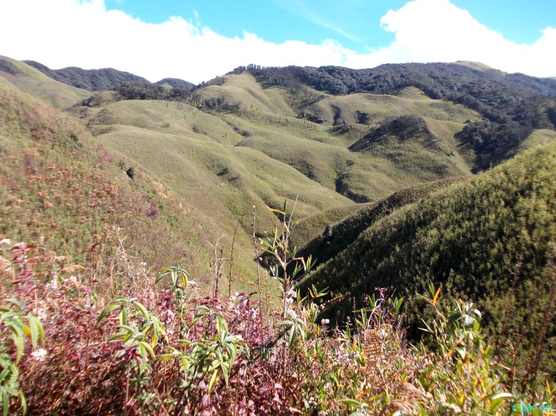 Dzuko Valley trip /  Exploration  during Sangai Tourism Festival 2012 :: November 2012