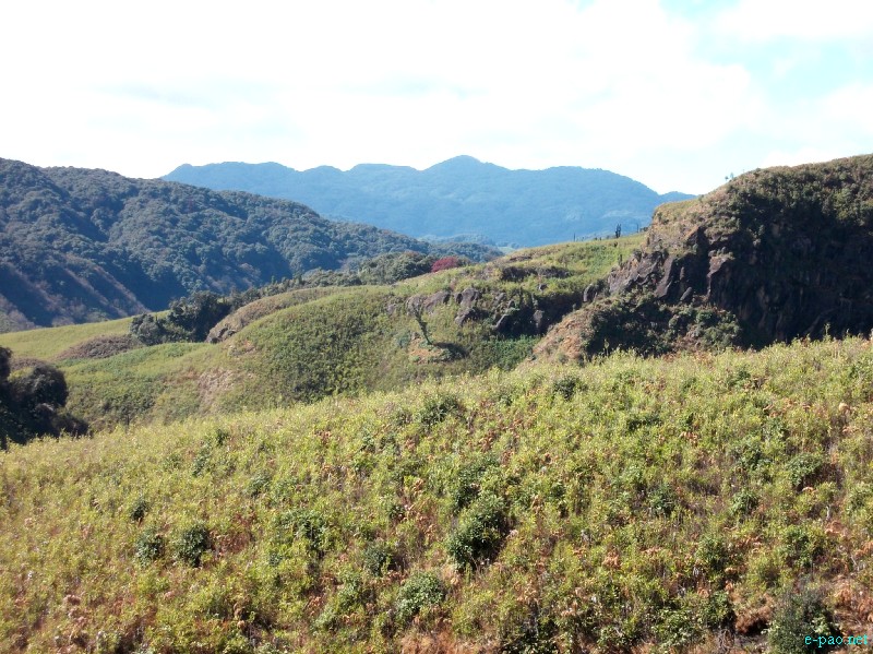 Dzuko Valley trip /  Exploration  during Sangai Tourism Festival 2012 :: November 2012