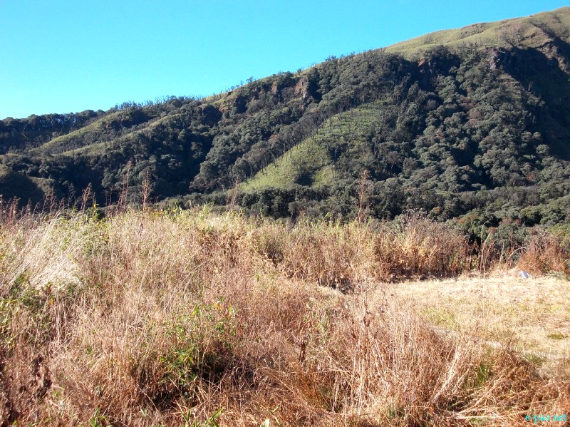 Dzuko Valley trip /  Exploration  during Sangai Tourism Festival 2012 :: November 2012