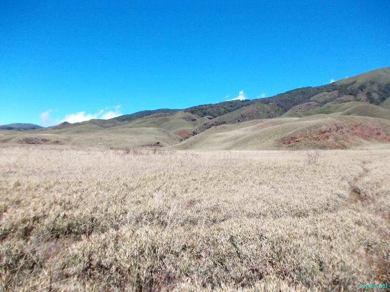 Dzuko Valley trip /  Exploration  during Sangai Tourism Festival 2012 :: November 2012