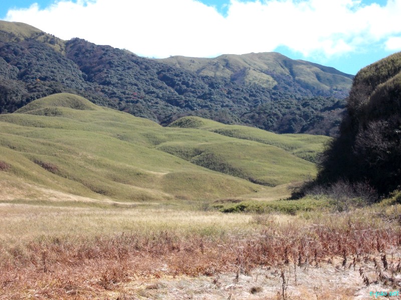 Dzuko Valley trip /  Exploration  during Sangai Tourism Festival 2012 :: November 2012