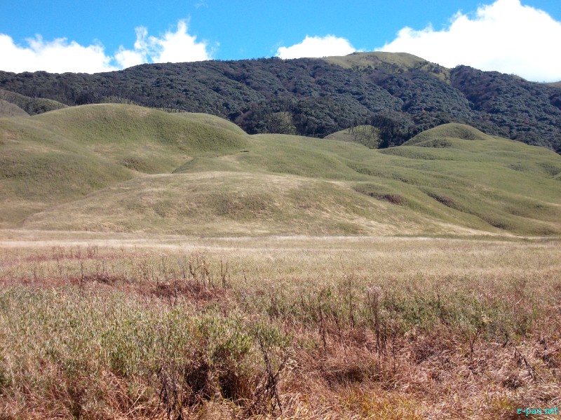 Dzuko Valley trip /  Exploration  during Sangai Tourism Festival 2012 :: November 2012