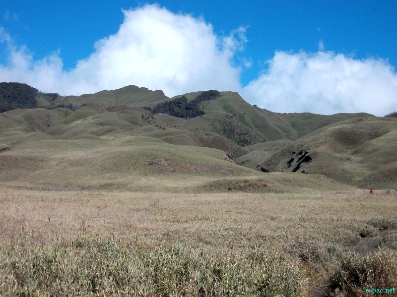 Dzuko Valley trip /  Exploration  during Sangai Tourism Festival 2012 :: November 2012