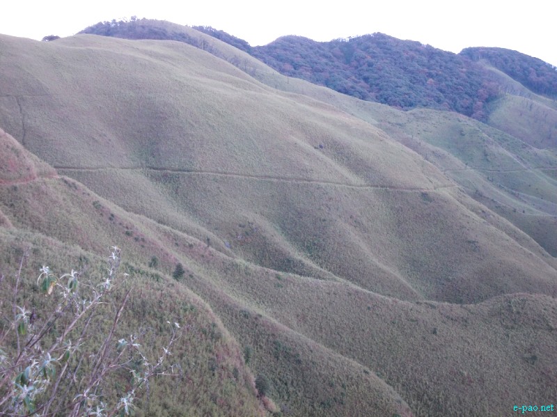 Dzuko Valley trip /  Exploration  during Sangai Tourism Festival 2012 :: November 2012