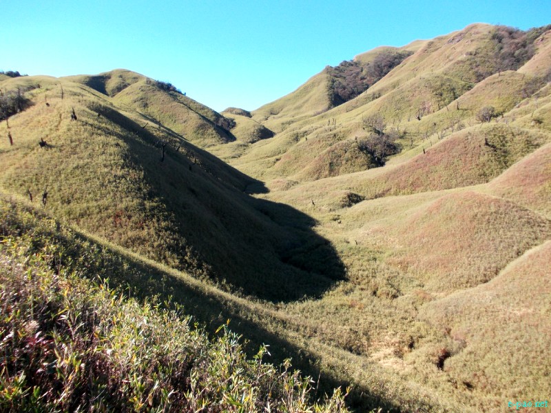 Dzuko Valley trip /  Exploration  during Sangai Tourism Festival 2012 :: November 2012