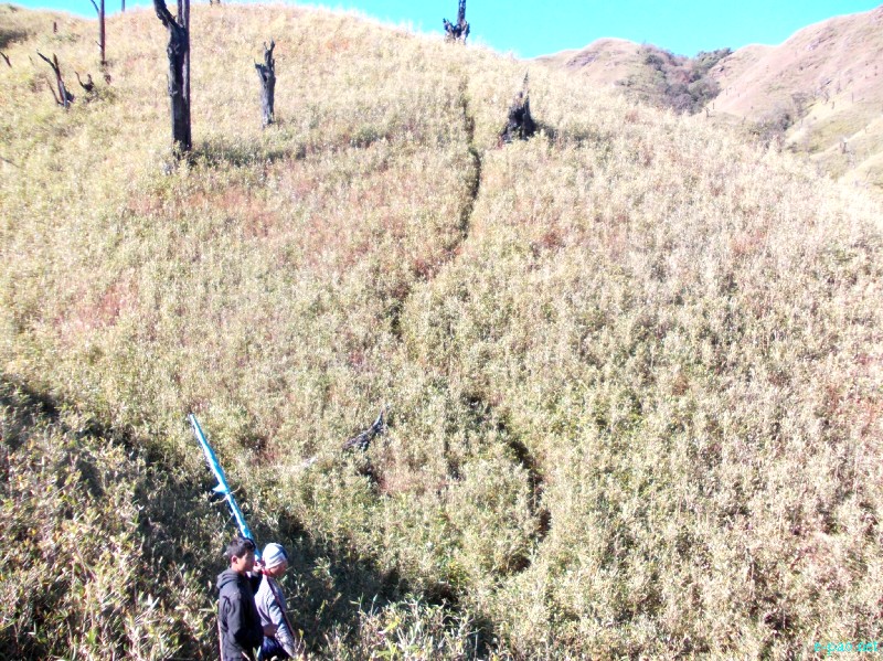 Dzuko Valley trip /  Exploration  during Sangai Tourism Festival 2012 :: November 2012