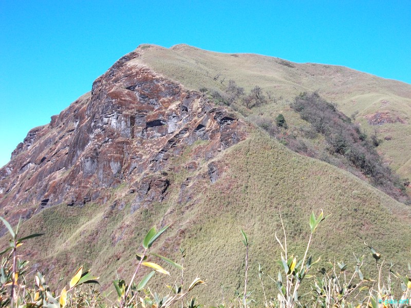 Dzuko Valley trip /  Exploration  during Sangai Tourism Festival 2012 :: November 2012