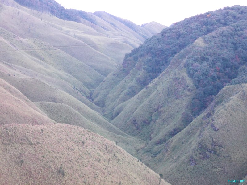 Dzuko Valley trip /  Exploration  during Sangai Tourism Festival 2012 :: November 2012