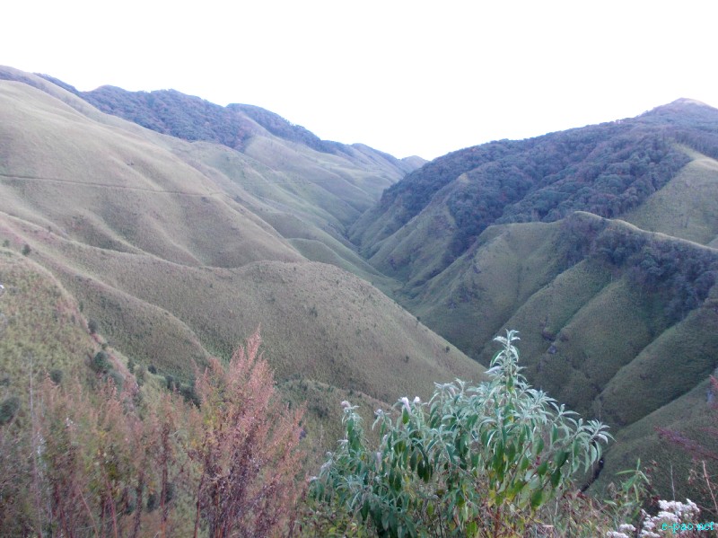 Dzuko Valley trip /  Exploration  during Sangai Tourism Festival 2012 :: November 2012