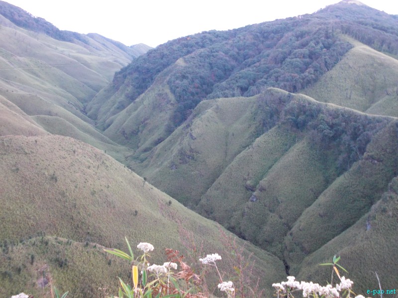 Dzuko Valley trip /  Exploration  during Sangai Tourism Festival 2012 :: November 2012