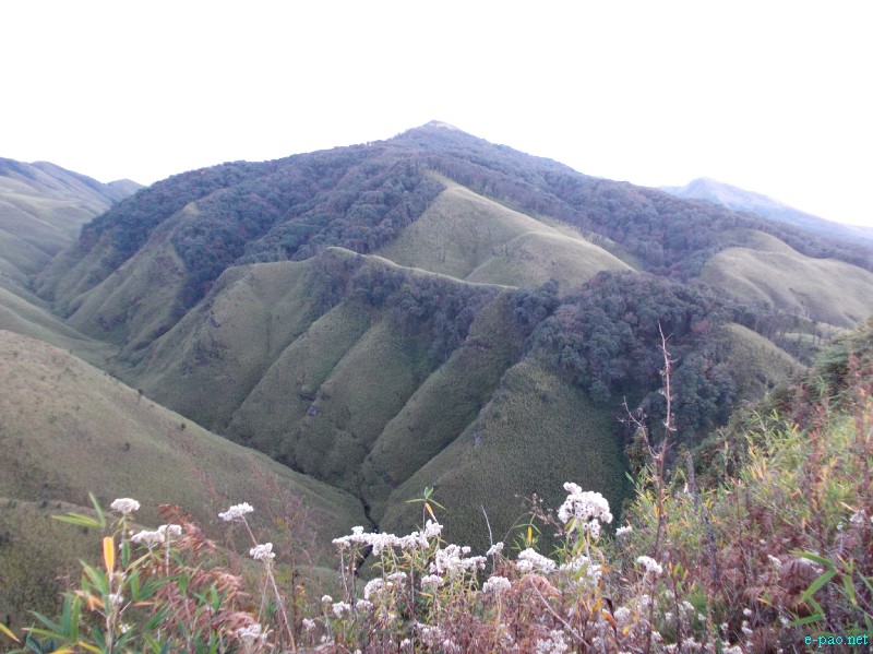 Dzuko Valley trip /  Exploration  during Sangai Tourism Festival 2012 :: November 2012