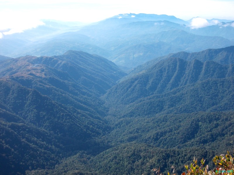 Dzuko Valley trip /  Exploration  during Sangai Tourism Festival 2012 :: November 2012