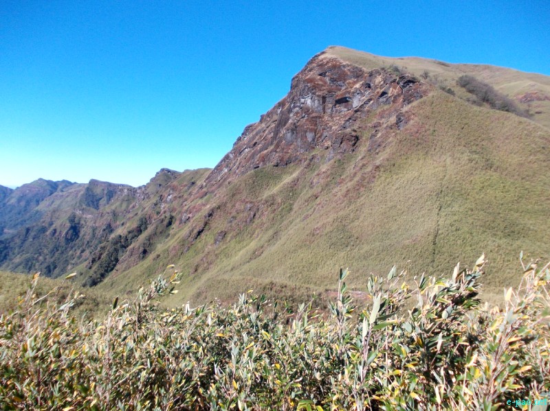 Dzuko Valley trip /  Exploration  during Sangai Tourism Festival 2012 :: November 2012