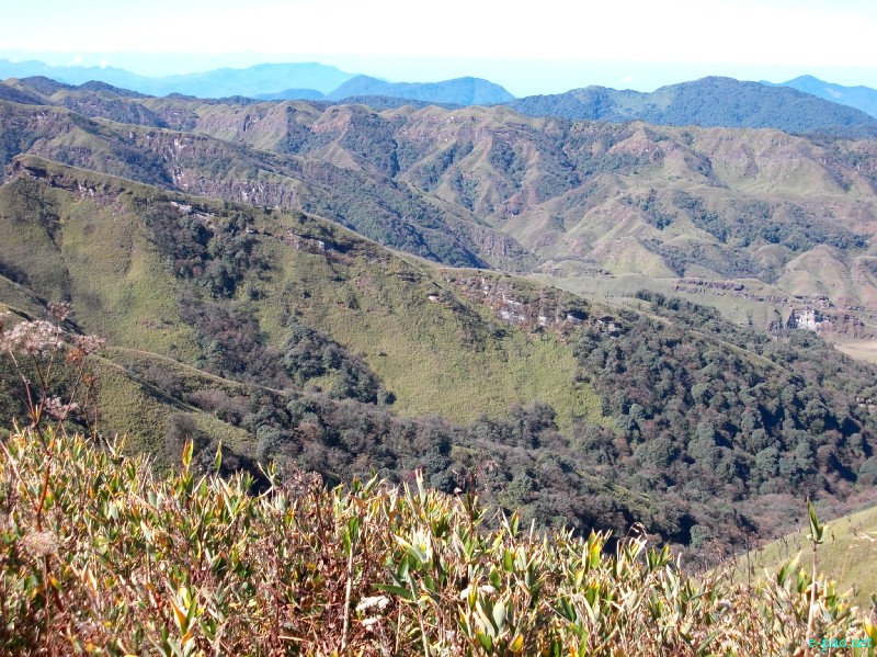 Dzuko Valley trip /  Exploration  during Sangai Tourism Festival 2012 :: November 2012
