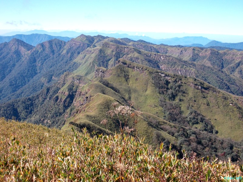 Dzuko Valley trip /  Exploration  during Sangai Tourism Festival 2012 :: November 2012