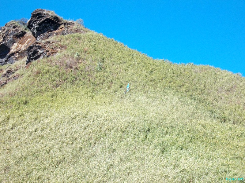 Dzuko Valley trip /  Exploration  during Sangai Tourism Festival 2012 :: November 2012