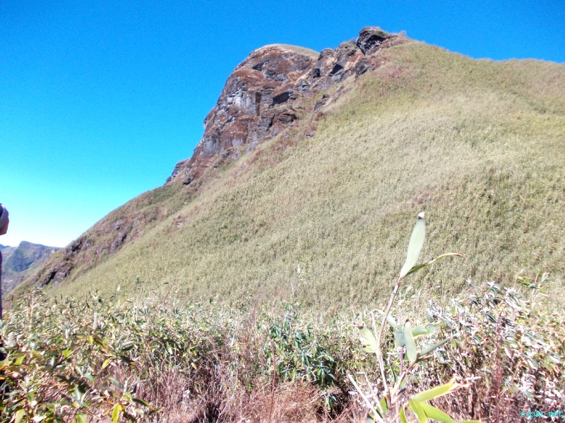 Dzuko Valley trip /  Exploration  during Sangai Tourism Festival 2012 :: November 2012
