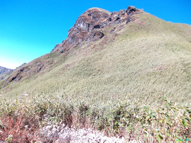 Dzuko Valley trip /  Exploration  during Sangai Tourism Festival 2012 :: November 2012