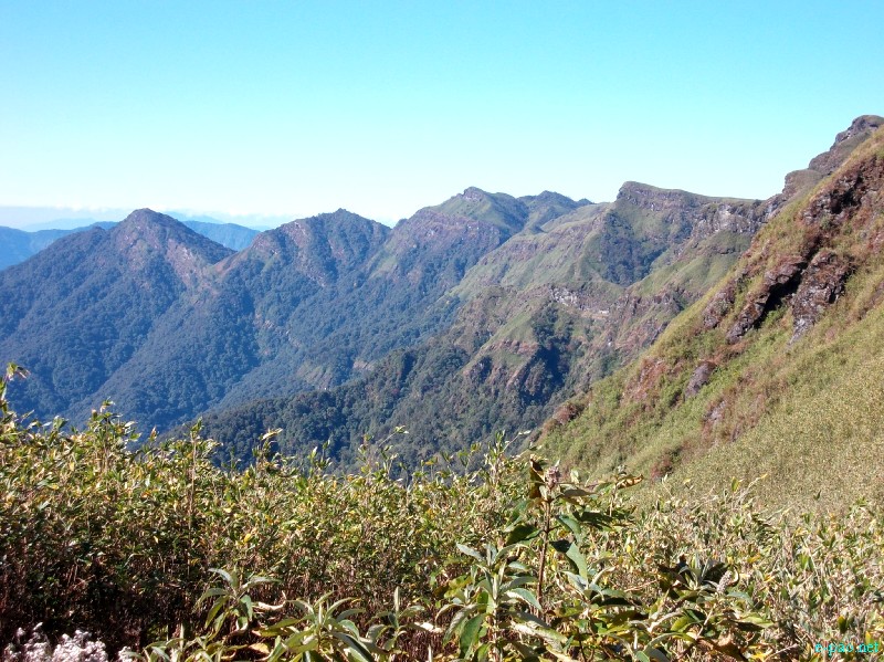 Dzuko Valley trip /  Exploration  during Sangai Tourism Festival 2012 :: November 2012