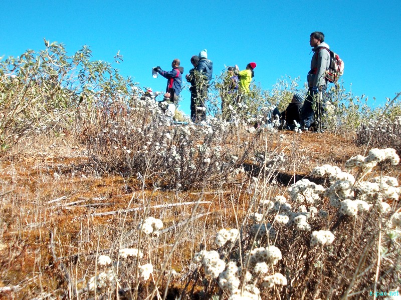 Dzuko Valley trip /  Exploration  during Sangai Tourism Festival 2012 :: November 2012