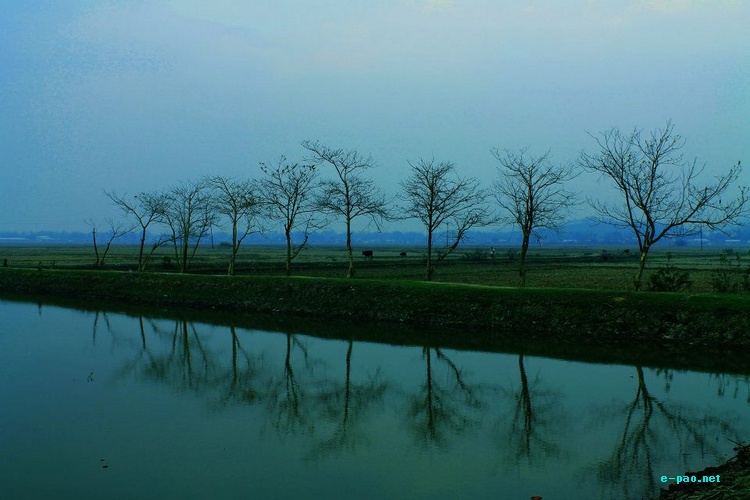 Landscape Picture of Sekta 16 km from Imphal on Imphal-Ukhrul Road :: 2012