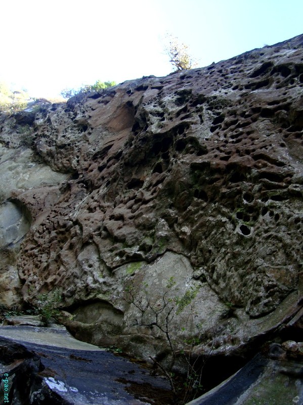 IT Road, Tamei, Magulong Kisha hill and Gaidelu Cave Exploration  during Sangai Tourism Festival 2012 :: November 2012