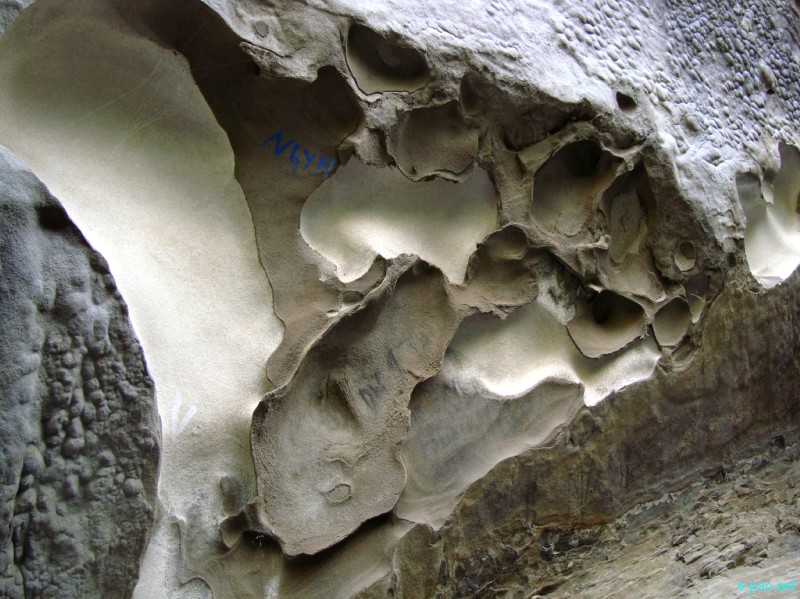 IT Road, Tamei, Magulong Kisha hill and Gaidelu Cave Exploration  during Sangai Tourism Festival 2012 :: November 2012