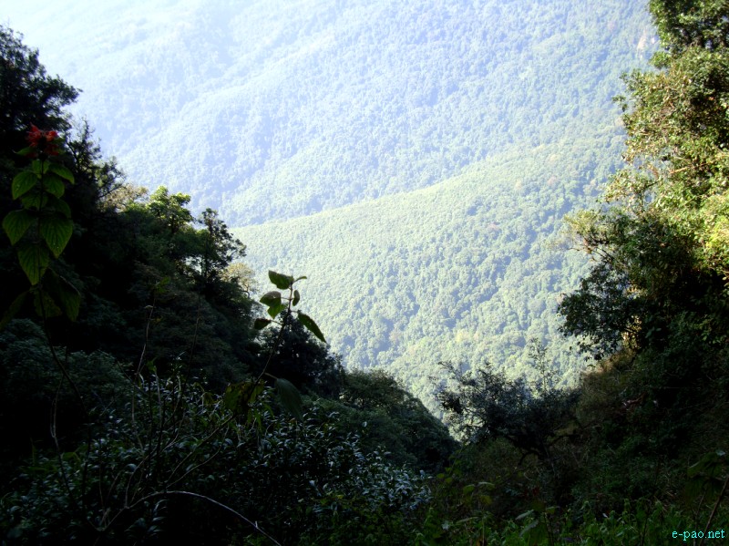 IT Road, Tamei, Magulong Kisha hill and Gaidelu Cave Exploration  during Sangai Tourism Festival 2012 :: November 2012