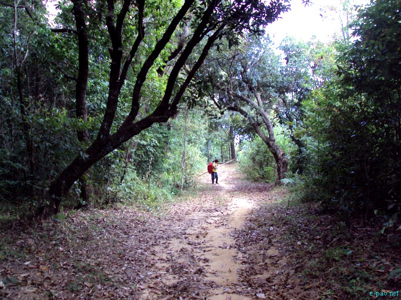 IT Road, Tamei, Magulong Kisha hill and Gaidelu Cave Exploration  during Sangai Tourism Festival 2012 :: November 2012