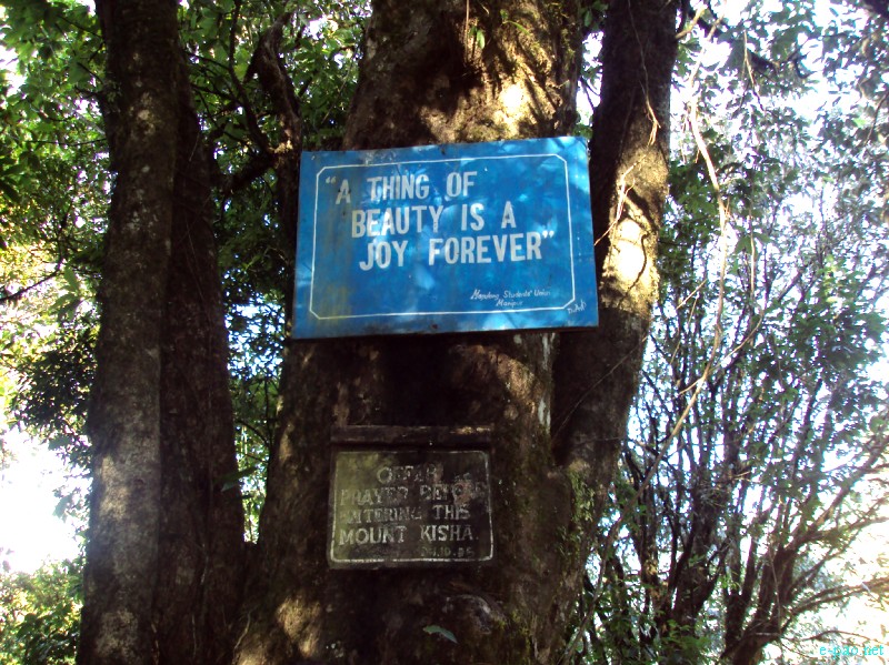 IT Road, Tamei, Magulong Kisha hill and Gaidelu Cave Exploration  during Sangai Tourism Festival 2012 :: November 2012