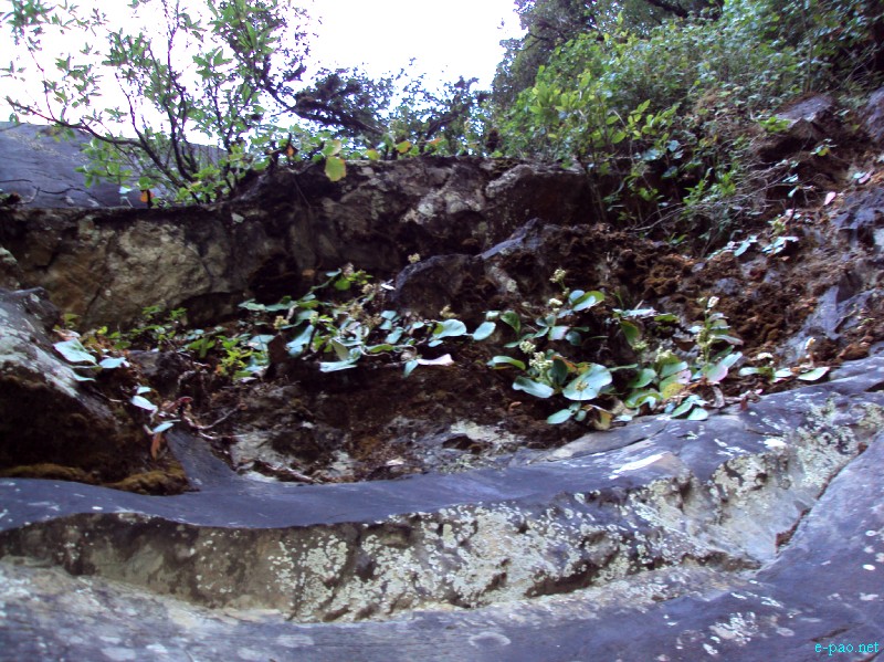 IT Road, Tamei, Magulong Kisha hill and Gaidelu Cave Exploration  during Sangai Tourism Festival 2012 :: November 2012