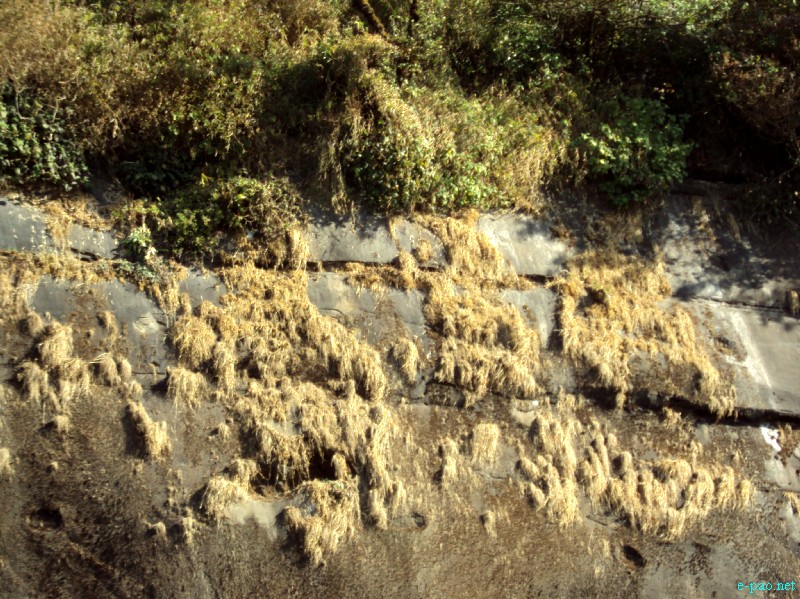IT Road, Tamei, Magulong Kisha hill and Gaidelu Cave Exploration  during Sangai Tourism Festival 2012 :: November 2012