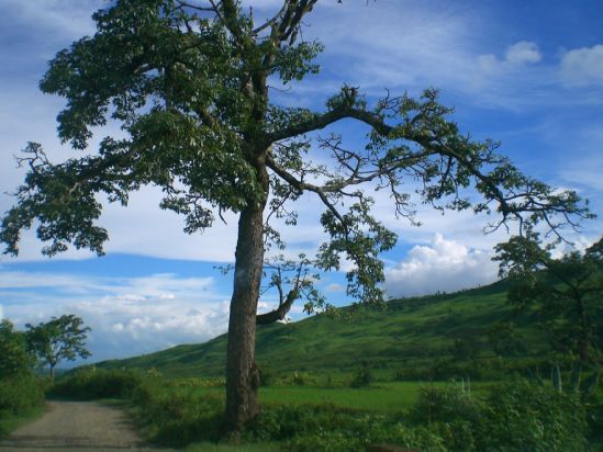 Landscape of Blue and Green Hills - 2007