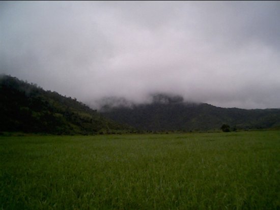 Landscape of Blue and Green Hills - 2007