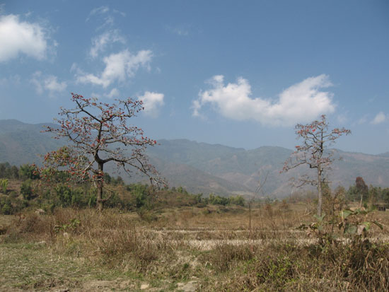Leimaram (Sadu Chiru) Waterfall - 2007