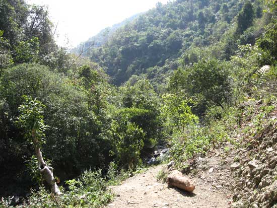 Leimaram (Sadu Chiru) Waterfall - 2007
